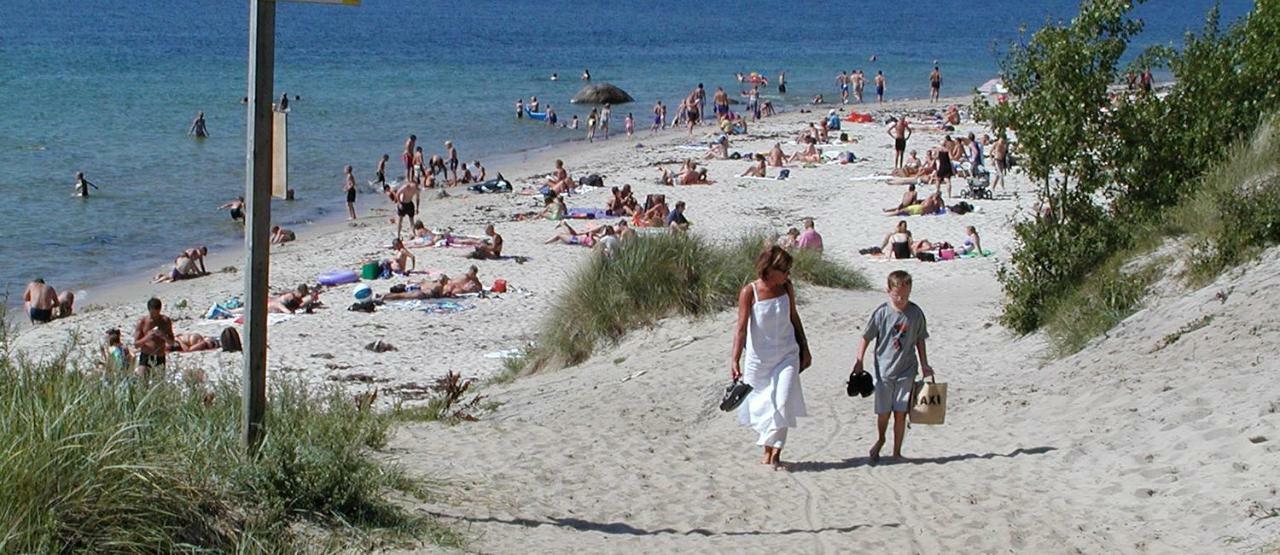 Nordskoven Strand Camping Ronne Ngoại thất bức ảnh